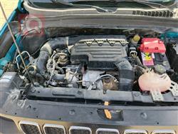 جيب رينيجيد